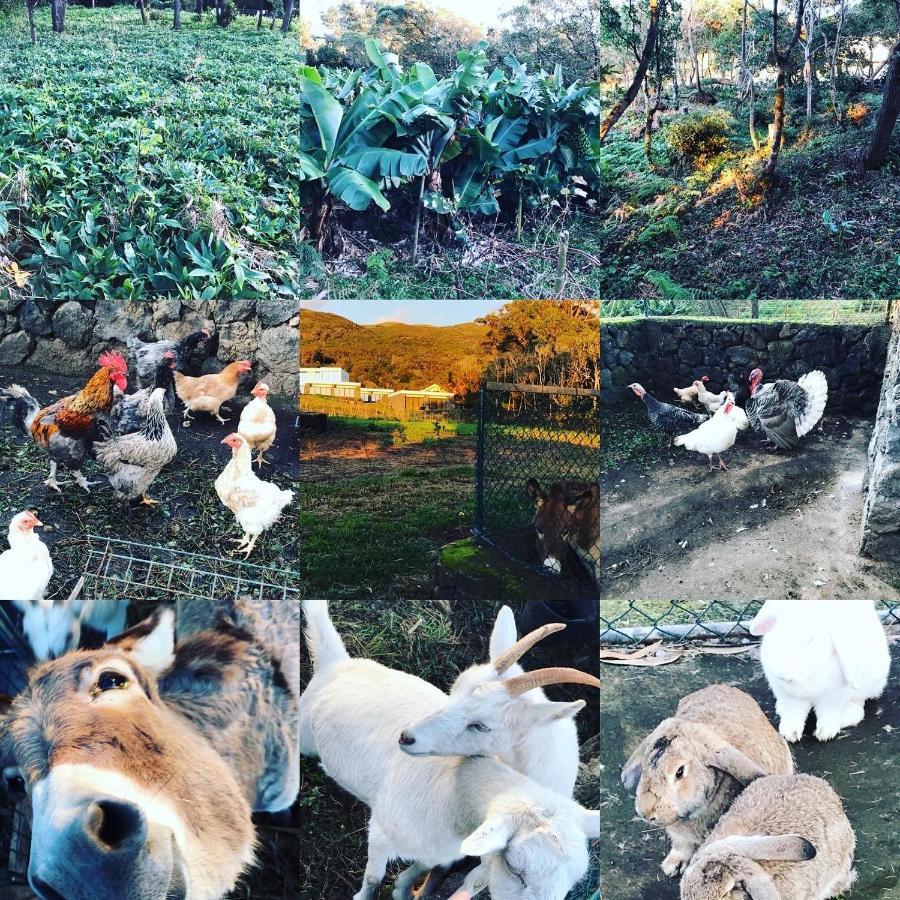 فيلا Make It Happen Farm Urzelina المظهر الخارجي الصورة