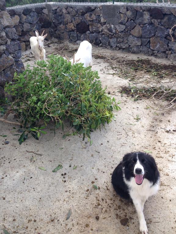 فيلا Make It Happen Farm Urzelina المظهر الخارجي الصورة